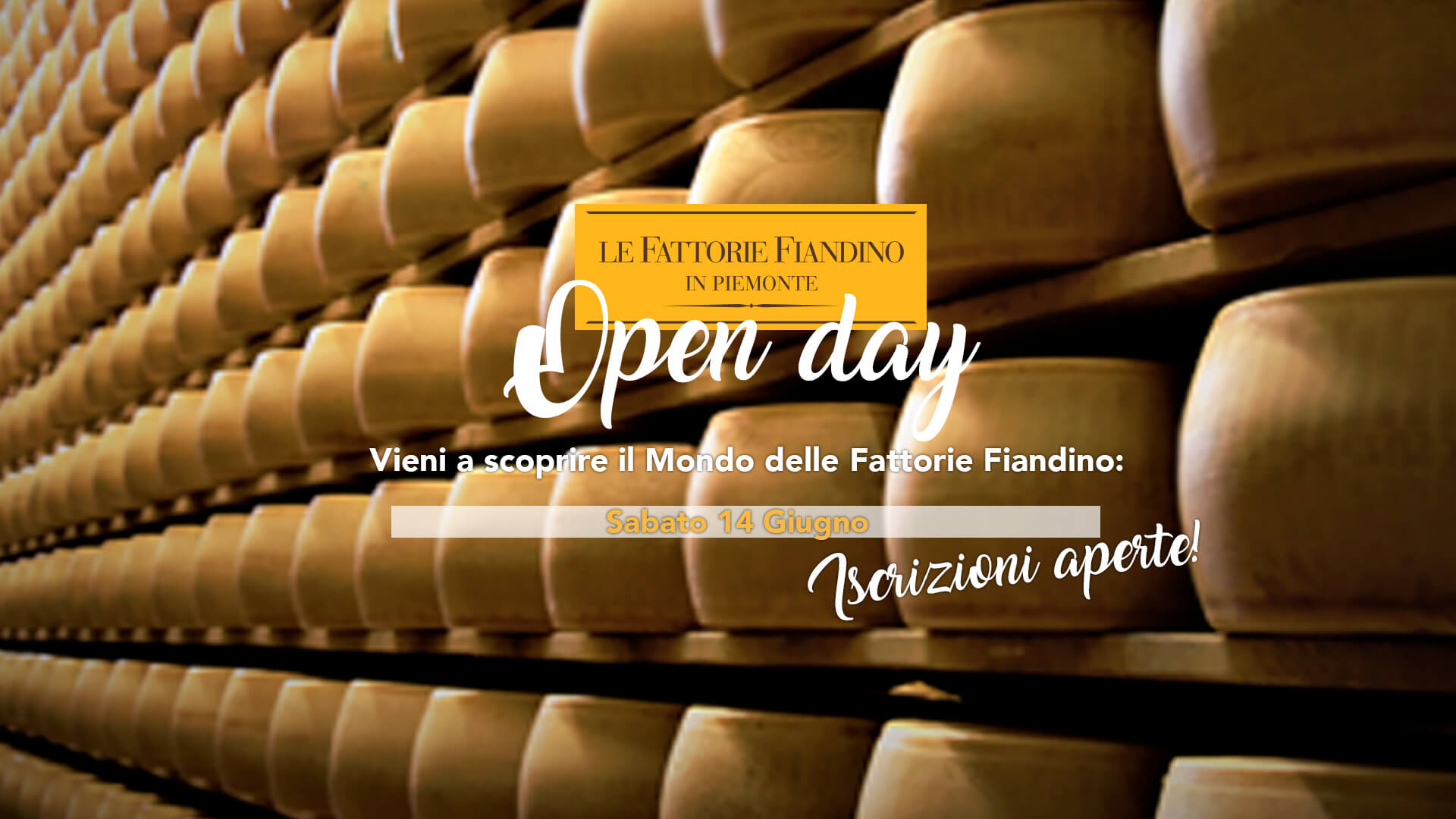 OPEN DAY ALLE FATTORIE FIANDINO 14 GIUGNO 2025